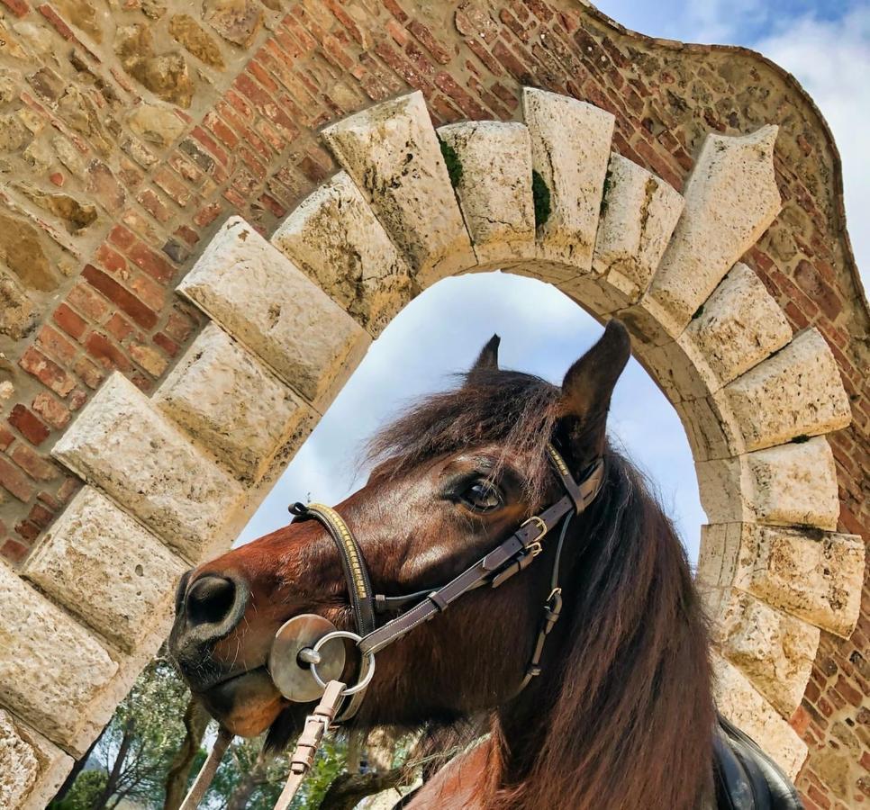 Tenuta I Mandorli Peccioli Экстерьер фото