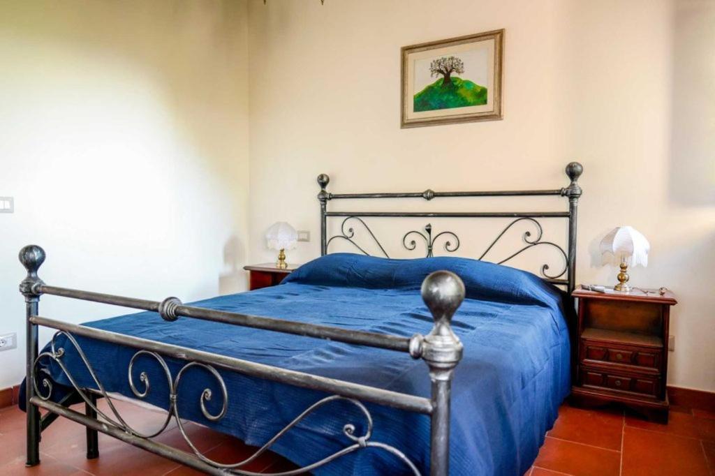 Tenuta I Mandorli Peccioli Номер фото